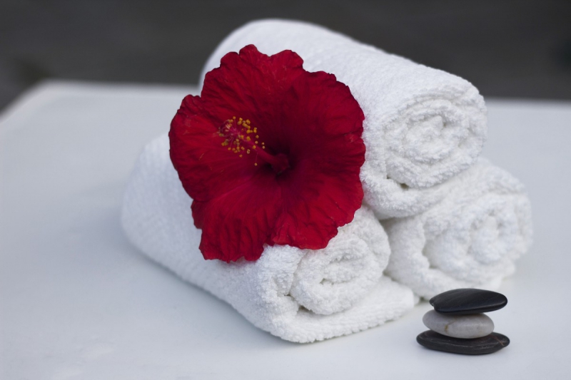 chambre-hote-OPIO-min_towel_hibiscus_clean_care_salon_spa_white_bath-869834